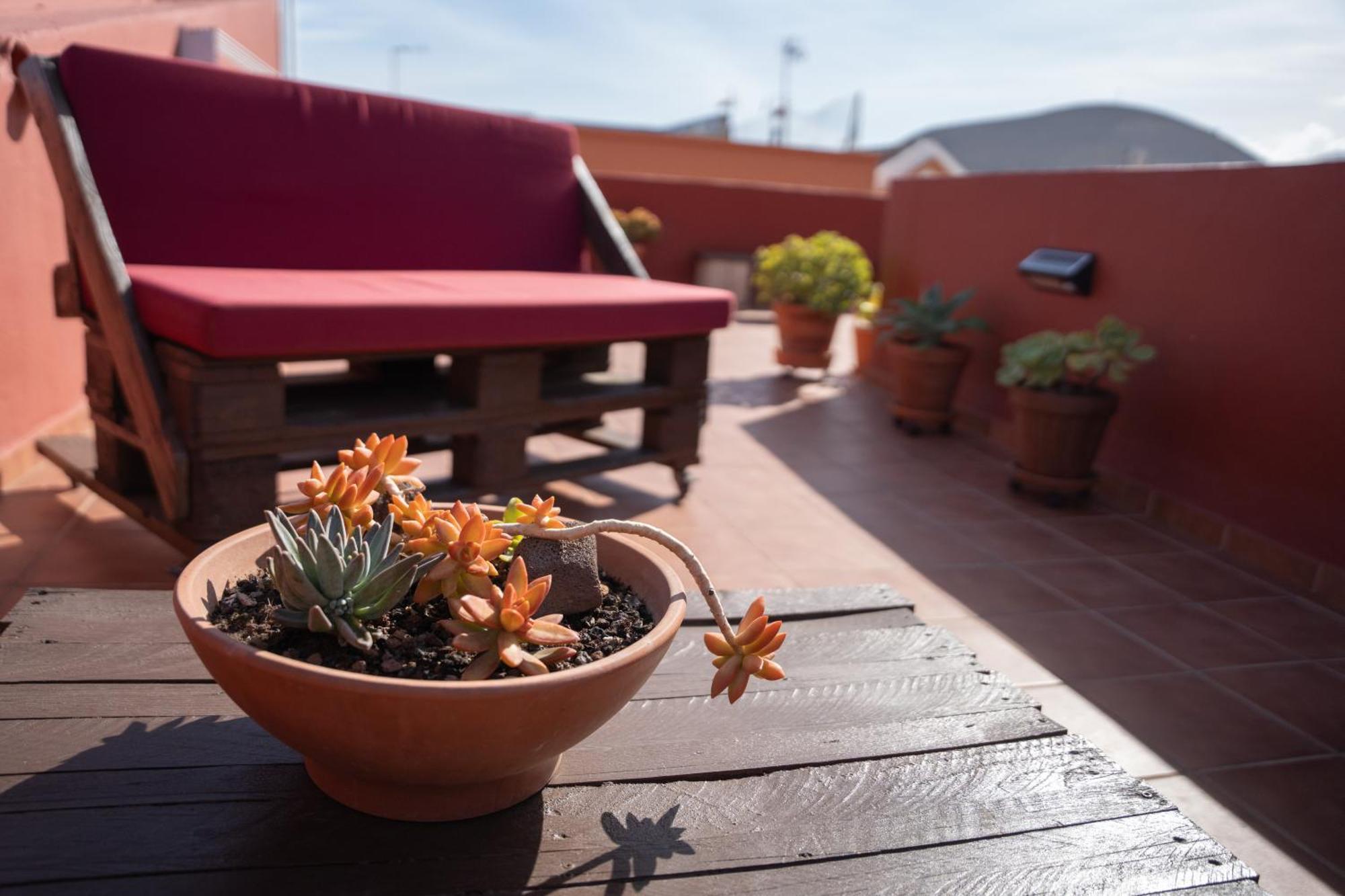Tabaiba Guesthouse Couette-café Buenavista Del Norte